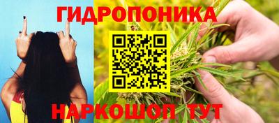 мдма Кудрово