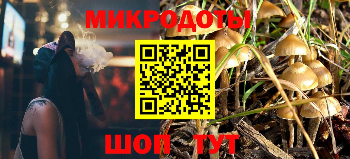 Волжский  Псилоцибиновые грибы мицелий  Вход с VPN 